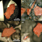 Photomicrographs of red/gray chips from samples 1-4 of the WTC dust involved in this study, shown in (a)-(d) respectively. The inset in (d) shows the chip edge on, which reveals the gray layer. The red/gray chips are mounted on an aluminum pedestal, using a carbon conductive tab, for viewing in the scanning electron microscope (SEM).